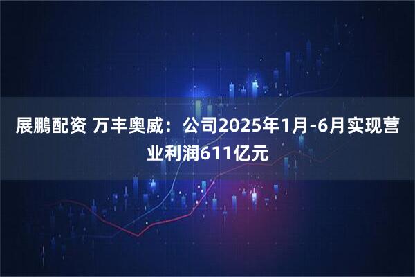 展鵬配资 万丰奥威：公司2025年1月-6月实现营业利润611亿元