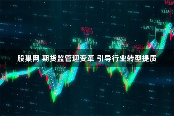 股巢网 期货监管迎变革 引导行业转型提质