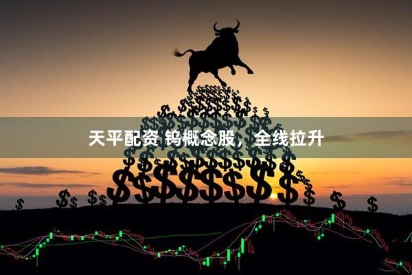 天平配资 钨概念股，全线拉升