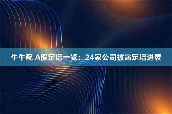 牛牛配 A股定增一览：24家公司披露定增进展