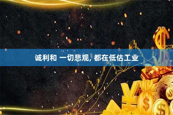 诚利和 一切悲观, 都在低估工业